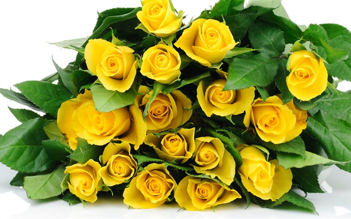 一束黃色的玫瑰鮮花 桌布 圖片