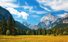 阿爾卑斯山，秋季，藍色的天空，雲，林，草 高清桌布