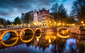 阿姆斯特丹，荷蘭，晚上，燈光，河流，橋樑，房屋 高清桌布