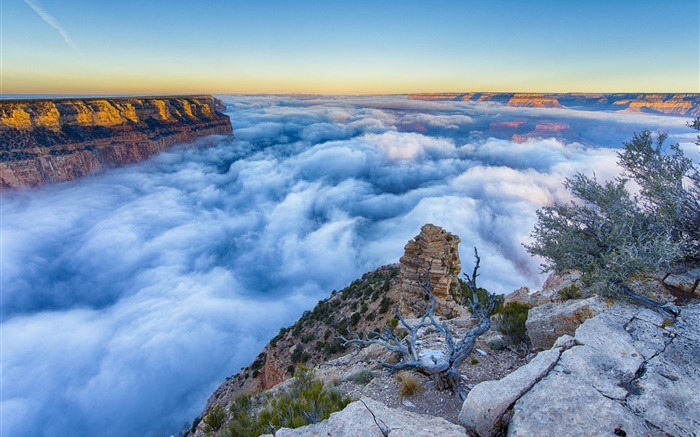 美國亞利桑那州大峽谷，清晨，日出，霧，雲 桌布 圖片