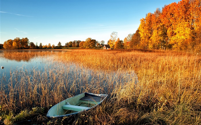 秋季，湖，草，小船，樹木，房子 桌布 圖片