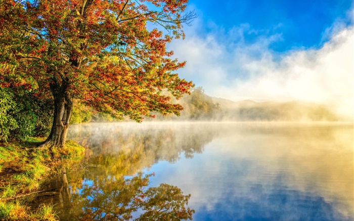 秋季景觀，湖，霧，森林 桌布 圖片