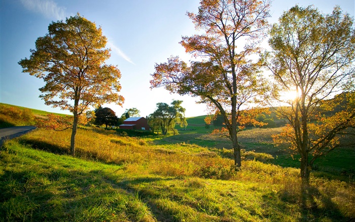 秋天，樹，草，太陽光線，房子 桌布 圖片