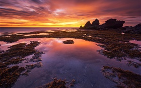 印度尼西亞的巴厘島，紅色的天空，海洋，海岸，日落 高清桌布