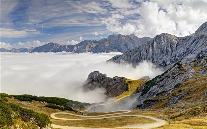 巴伐利亞，德國，阿爾卑斯山，山，路，樹，霧 桌布 圖片