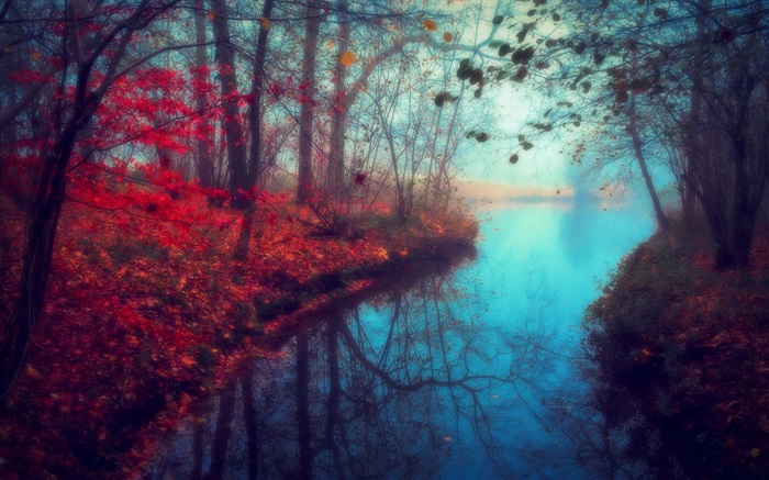 美麗的自然風光，秋天，河流，樹木，紅葉 桌布 圖片