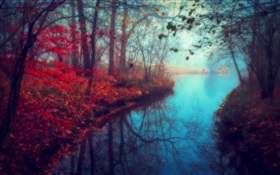 美麗的自然風光，秋天，河流，樹木，紅葉 高清桌布