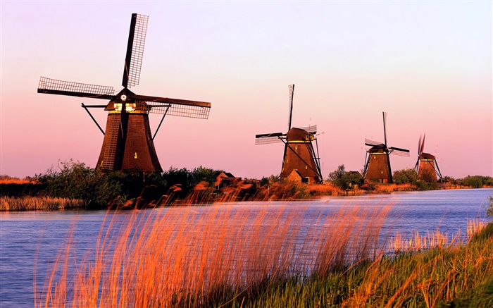 荷蘭風光，風車，河，晚上 桌布 圖片