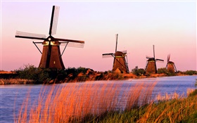 荷蘭風光，風車，河，晚上 高清桌布
