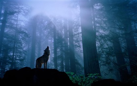 森林狼 高清桌布
