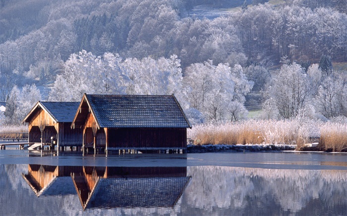 房屋，河流，樹木，冬天，德國 桌布 圖片