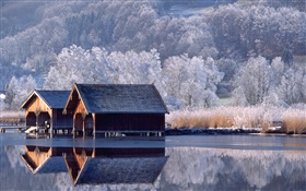 房屋，河流，樹木，冬天，德國