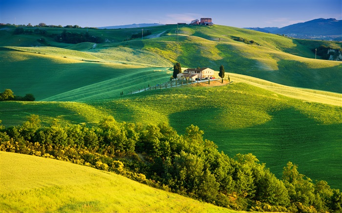 意大利，綠色的田野，美麗的風景 桌布 圖片