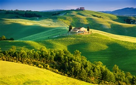 意大利，綠色的田野，美麗的風景
