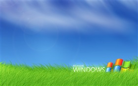 微軟Windows徽標在草叢中