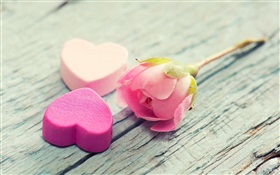 粉紅色的玫瑰和愛情心臟形 高清桌布