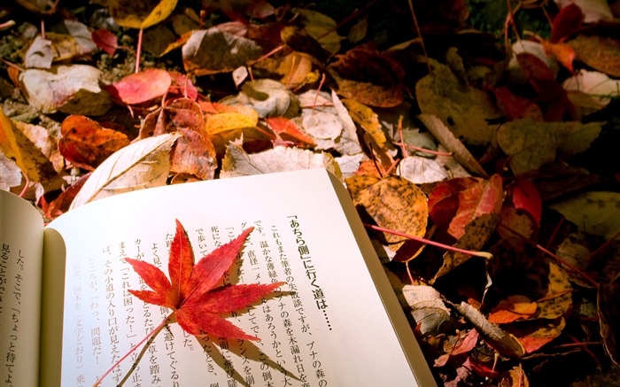 紅葉，日本書 桌布 圖片