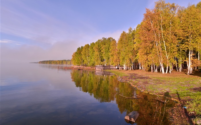 俄羅斯貝加爾湖，樹木 桌布 圖片