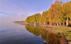 俄羅斯貝加爾湖，樹木 高清桌布