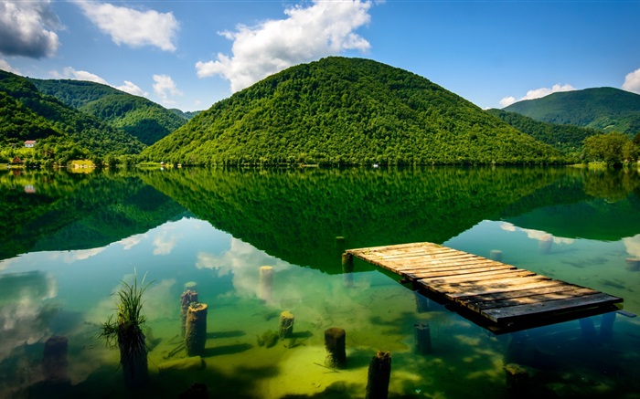 夏天，綠色，湖，山 桌布 圖片