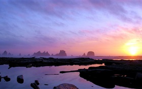 日落，海，岩石 高清桌布