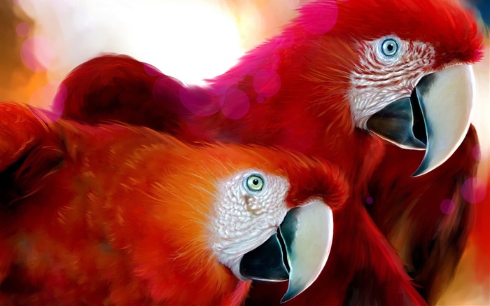 兩個紅色羽毛的鸚鵡 桌布 圖片