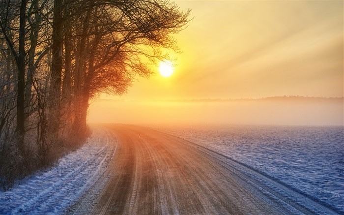 冬季日出，道路，霧，樹木 桌布 圖片