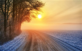 冬季日出，道路，霧，樹木 高清桌布