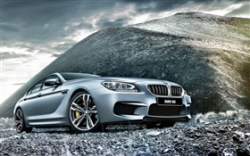 2015年BMW M6 F06銀色轎車前視圖 高清桌布