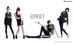 2NE1，韓國音樂女孩 03 高清桌布