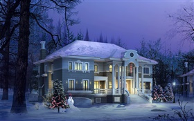 3D設計，冬天的房子，雪，晚上