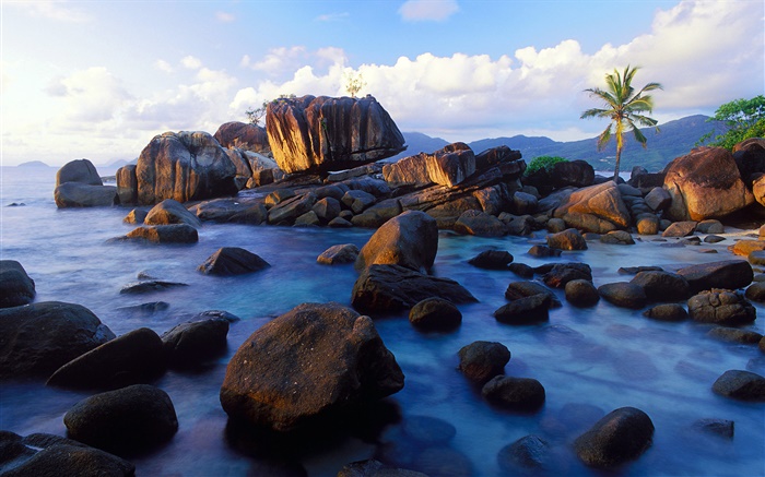 昂斯蘇蕾，馬埃島，塞舌爾，石頭，海岸 桌布 圖片