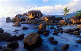 昂斯蘇蕾，馬埃島，塞舌爾，石頭，海岸 高清桌布