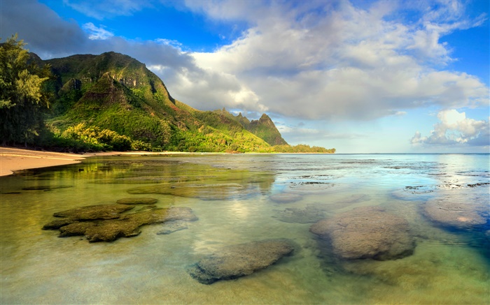 海灘，珊瑚礁，水下，可愛島，夏威夷 桌布 圖片