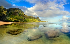 海灘，珊瑚礁，水下，可愛島，夏威夷