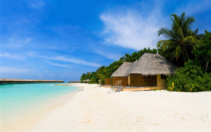 沙灘，大海，休閒小屋，棕櫚樹 桌布 圖片