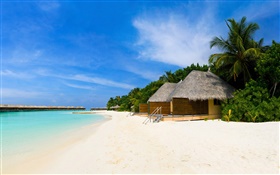 沙灘，大海，休閒小屋，棕櫚樹 高清桌布