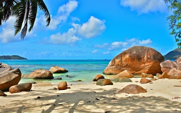 沙灘，海水，石頭，太陽光線，塞舌爾島 桌布 圖片