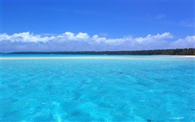 藍色海岸風光，棕櫚樹，沙灘 高清桌布