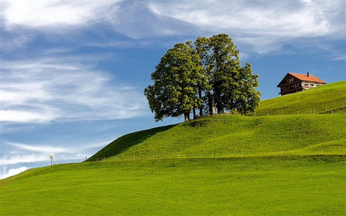 藍天，草，樹木，房子，依山而建，艾因西德倫，施維茨州，瑞士 桌布 圖片