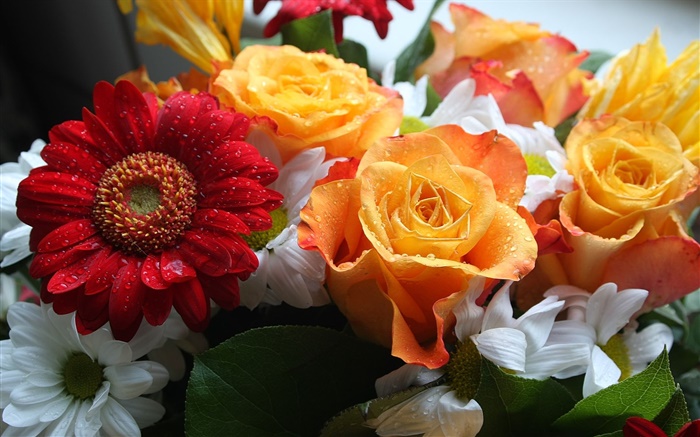 花束，玫瑰和菊花 桌布 圖片