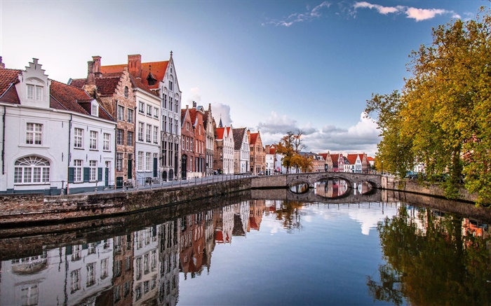 布魯塞爾，比利時，房屋，河流，橋樑，樹木，秋天 桌布 圖片