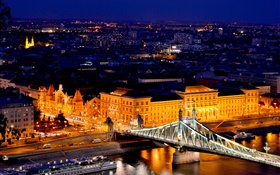 匈牙利布達佩斯，多瑙河，橋樑，建築，晚上，燈 高清桌布