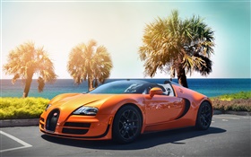 布加迪威龍超級汽車橙色超級跑車 高清桌布