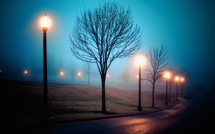 市，夜間，霧，街道，公園，燈 桌布 圖片