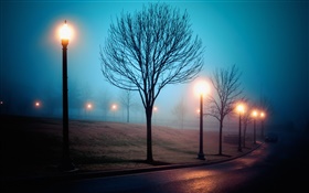 市，夜間，霧，街道，公園，燈 高清桌布
