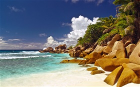 海岸，沙灘，石頭，海，雲，塞舌爾島 高清桌布