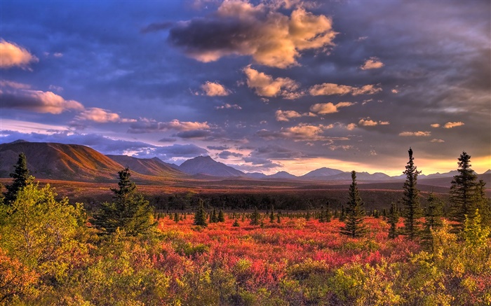 迪納利國家公園，阿拉斯加，美國，雲，黃昏，草 桌布 圖片