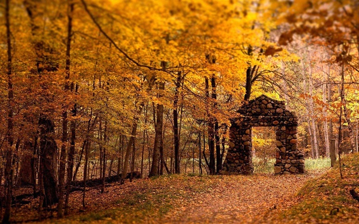 森林，樹木，秋天，紅色風格，石門 桌布 圖片