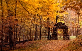 森林，樹木，秋天，紅色風格，石門 高清桌布